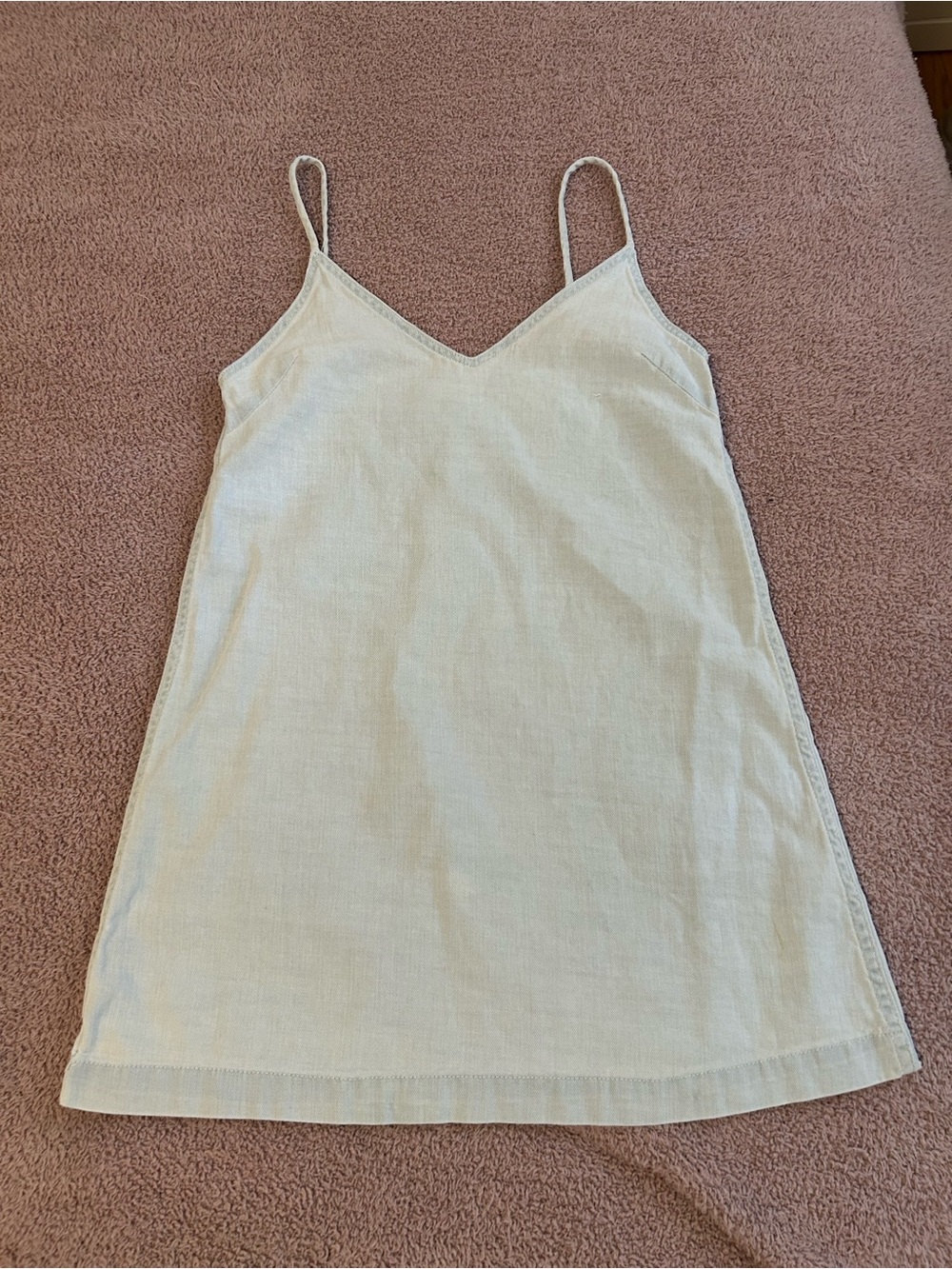 Wilfred Free Denim Dress